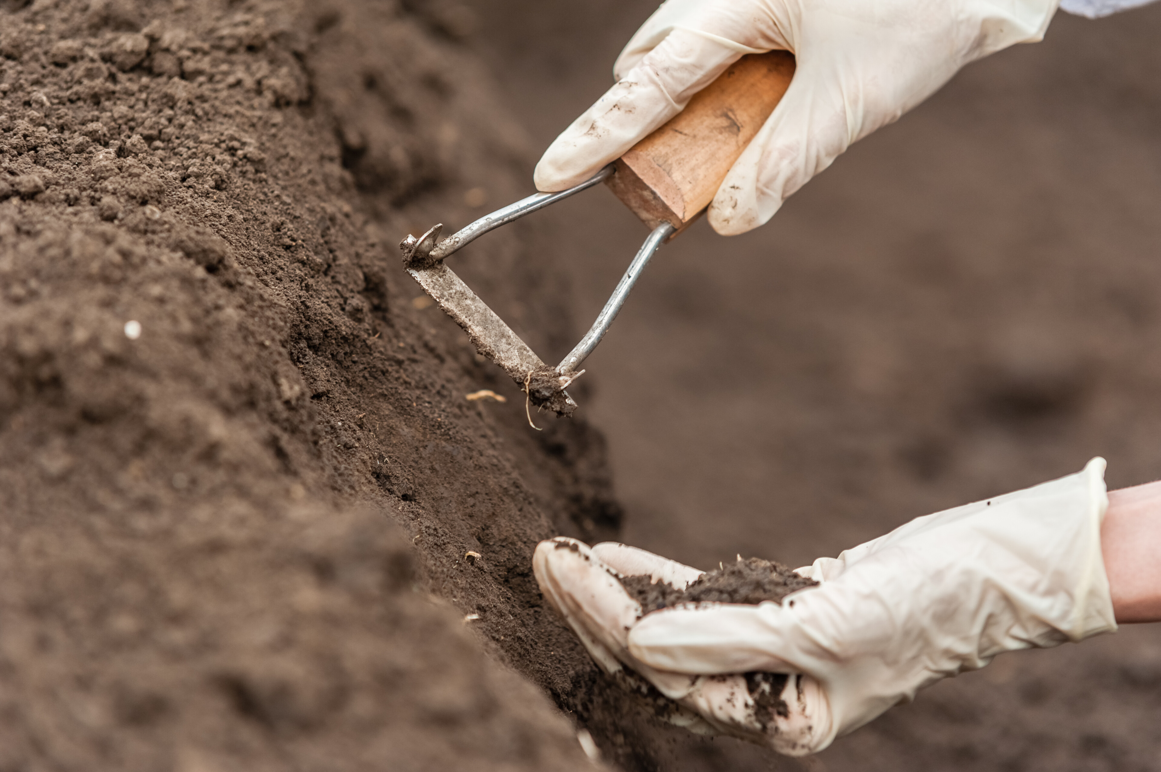A imagem mostra uma mão com luvas brancas extraindo amostra de solo.